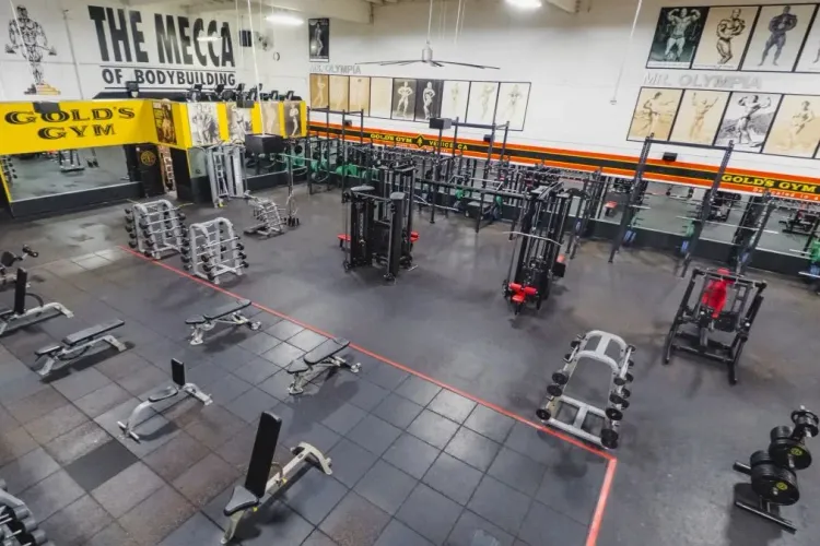 Gold’s Gym: From Venice Beach Roots to Global Fitness Powerhouse