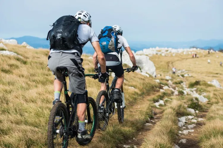 Mountain Majesty: A Guide to the Most Scenic Biking Routes